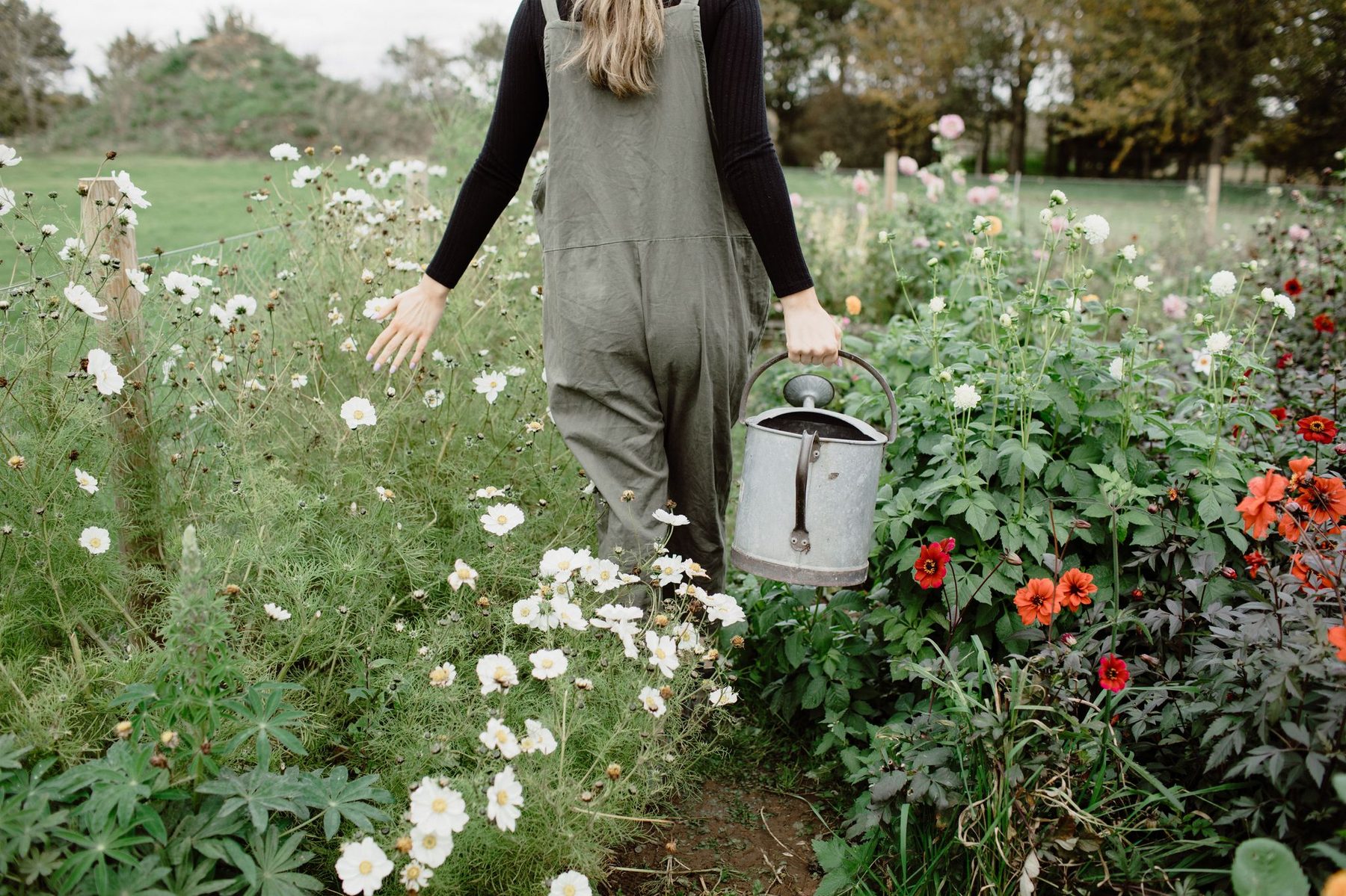 Journal piece: How to Source British Flowers: A Florist's Guide to Sustainable Supply — Guide
